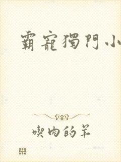 霸宠独门小娇妻