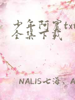 少年阿宾txt全集下载