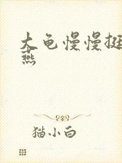 大龟慢慢挺进张燕