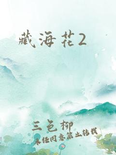 藏海花2