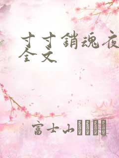 寸寸销魂夜春光全文