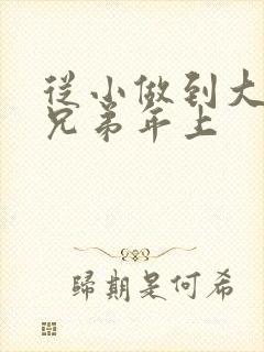 从小做到大骨科兄弟年上