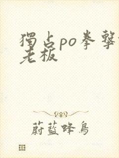 独占po拳击馆老板