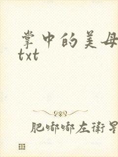 掌中的美母版主txt