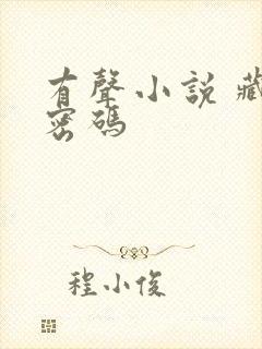 有声小说 藏地密码