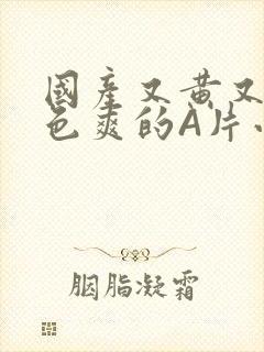 国产又黄又大又色爽的A片小说