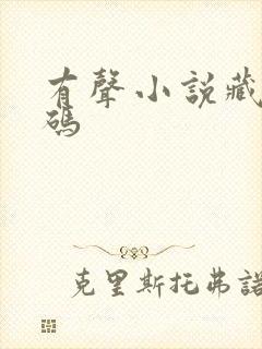 有声小说藏地密码