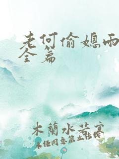 老何偷媳雨嫌儿全篇