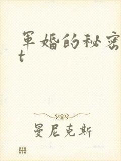军婚的秘密txt