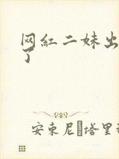 网红二妹出啥事了