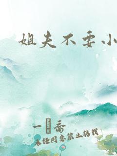 姐夫不要小说