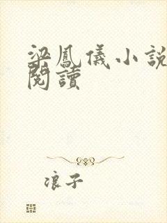 梁凤仪小说在线阅读