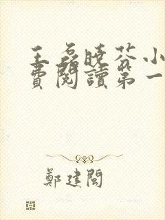 王磊晓芬小说免费阅读第一章