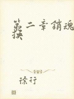 第二章销魂的交换