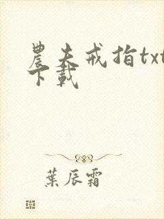 农夫戒指txt下载