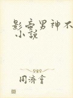 影帝男神不节制 小说