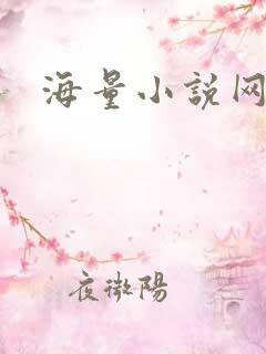 海量小说网