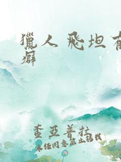 猎人 飞坦有洁癖