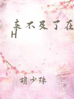 来不及了在车CH