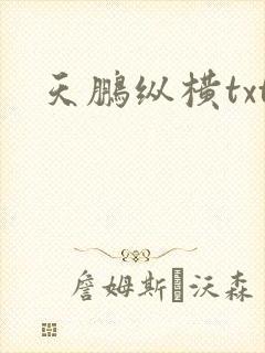 天鹏纵横txt