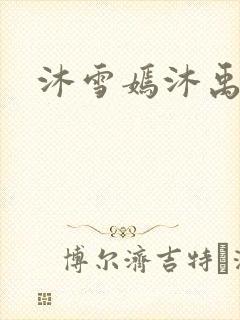 沐雪嫣沐禹小说