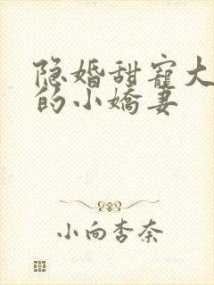 隐婚甜宠大财阀的小娇妻