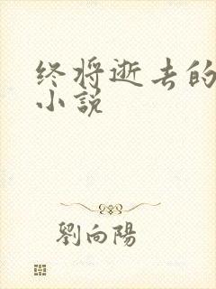 终将逝去的青春小说