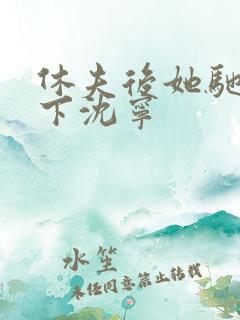 休夫后她驰骋天下沈宁