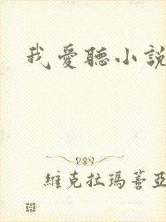 我爱听小说