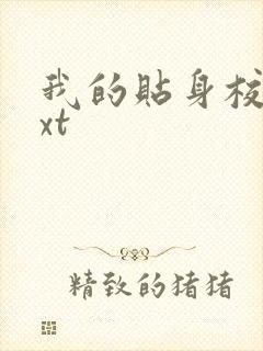 我的贴身校花txt