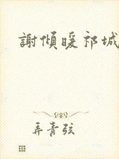 谢倾暖祁城笙