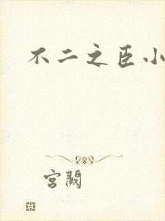 不二之臣小说