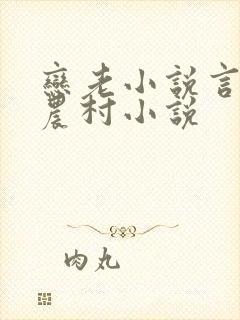 恋老小说言情网农村小说