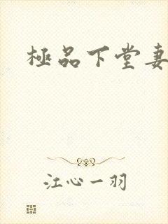 极品下堂妻