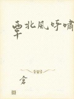 西北风呼啸的中午