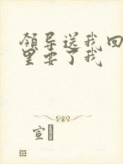 领导送我回家车里要了我