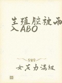 生殖腔被两根进入ABO