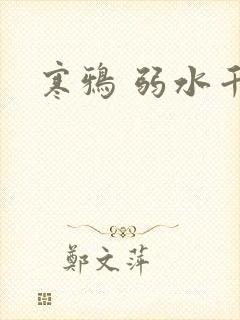 寒鸦 弱水千流