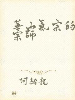 华山气宗的形意宗师