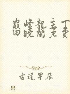 巅峰龙主丁长顺田晓兰免费阅读