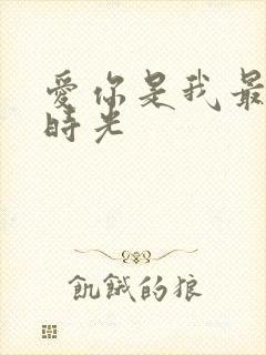 爱你是我最好的时光