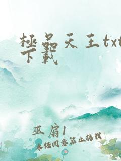 极品天王txt下载