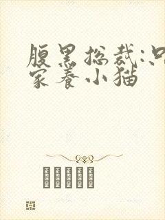 腹黑总裁:只疼家养小猫