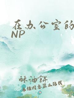 在办公室的椅子NP