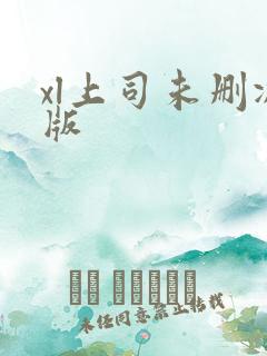 xl上司未删减版