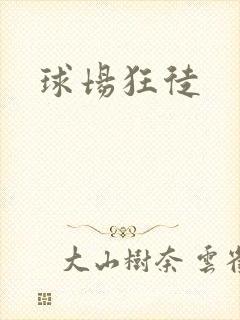 球场狂徒
