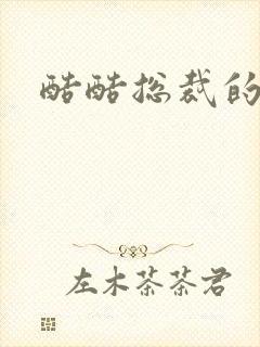 酷酷总裁的情人