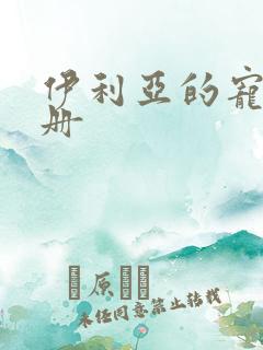 伊利亚的宠物手册