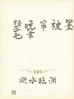 楚晚宁被墨燃塞毛笔