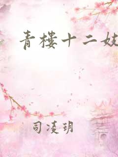 青楼十二妓